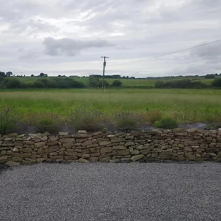 Lavender Lane * Tralee