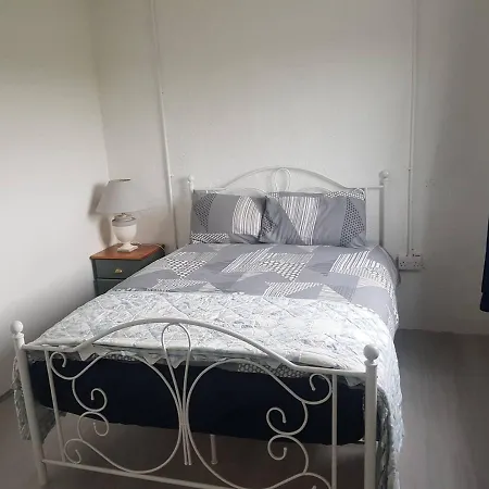 Lavender Lane 特拉利