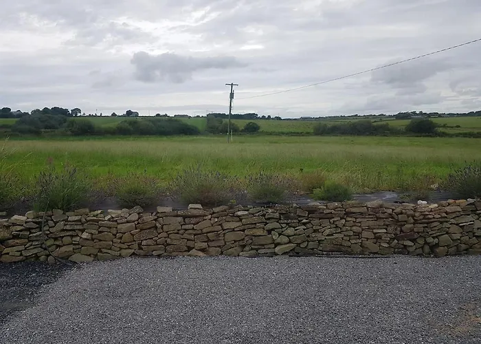 Lavender Lane * Tralee